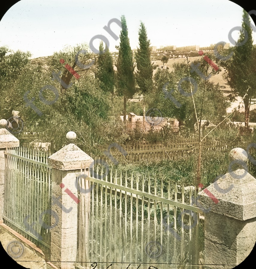 Garten Getsemani | Garden of Getsemani (foticon-simon-054-024.jpg)